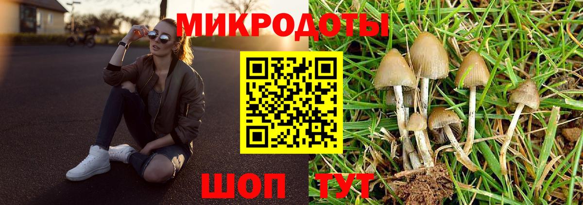 Псилоцибиновые грибы мицелий  Вход с VPN  Удомля 